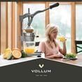 Manual Fruit Juicer Commercial Grade Home Citrus Lever Squeezer for