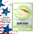 thumbnail image 6 of Green Flesh Honeydew Melon Seeds, 6 of 7