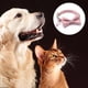thumbnail image 3 of Juego de collar y correa para perros con dispensador de bolsas para excrementos Collar para perros para niñas con cierre metálico de seguridad y lindo, 3 of 5
