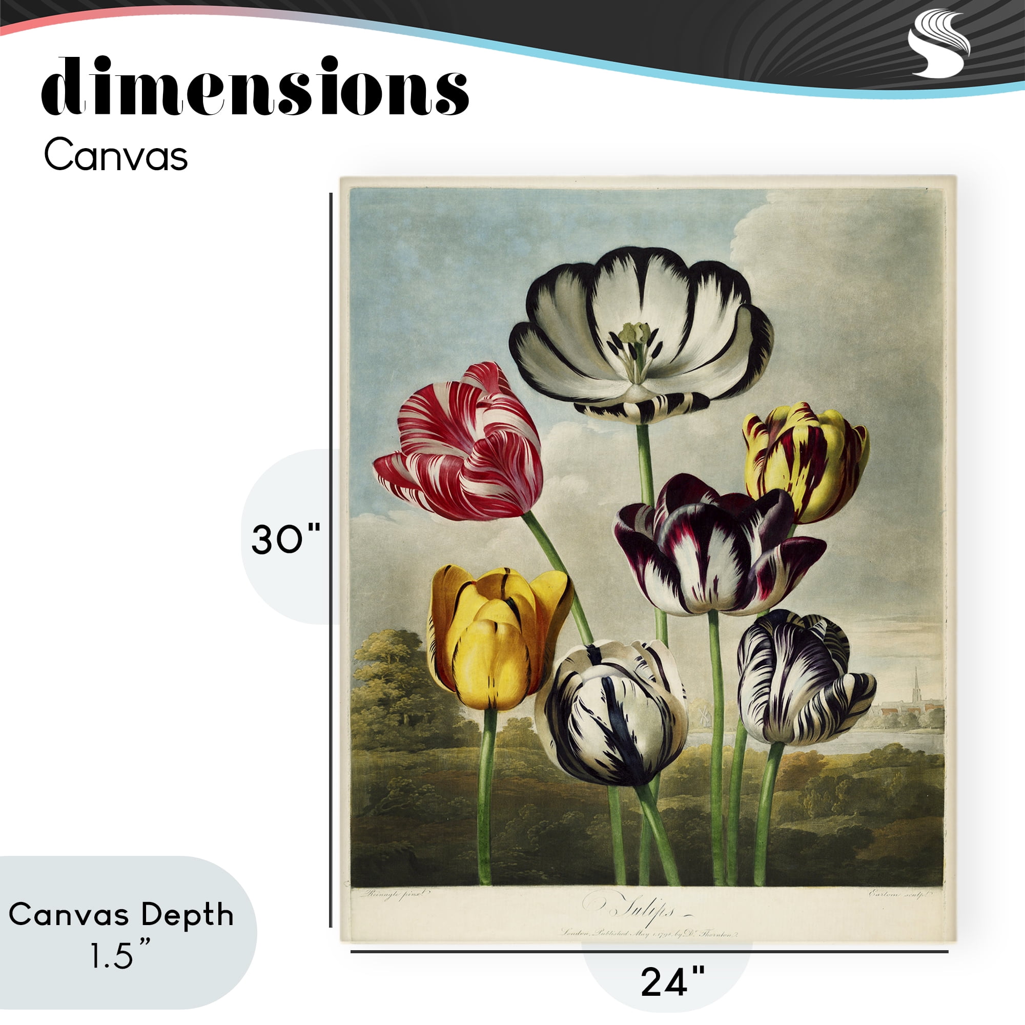 Stupell Industries Tulips From The Temple Canvas Wall Art, design by Print Collection