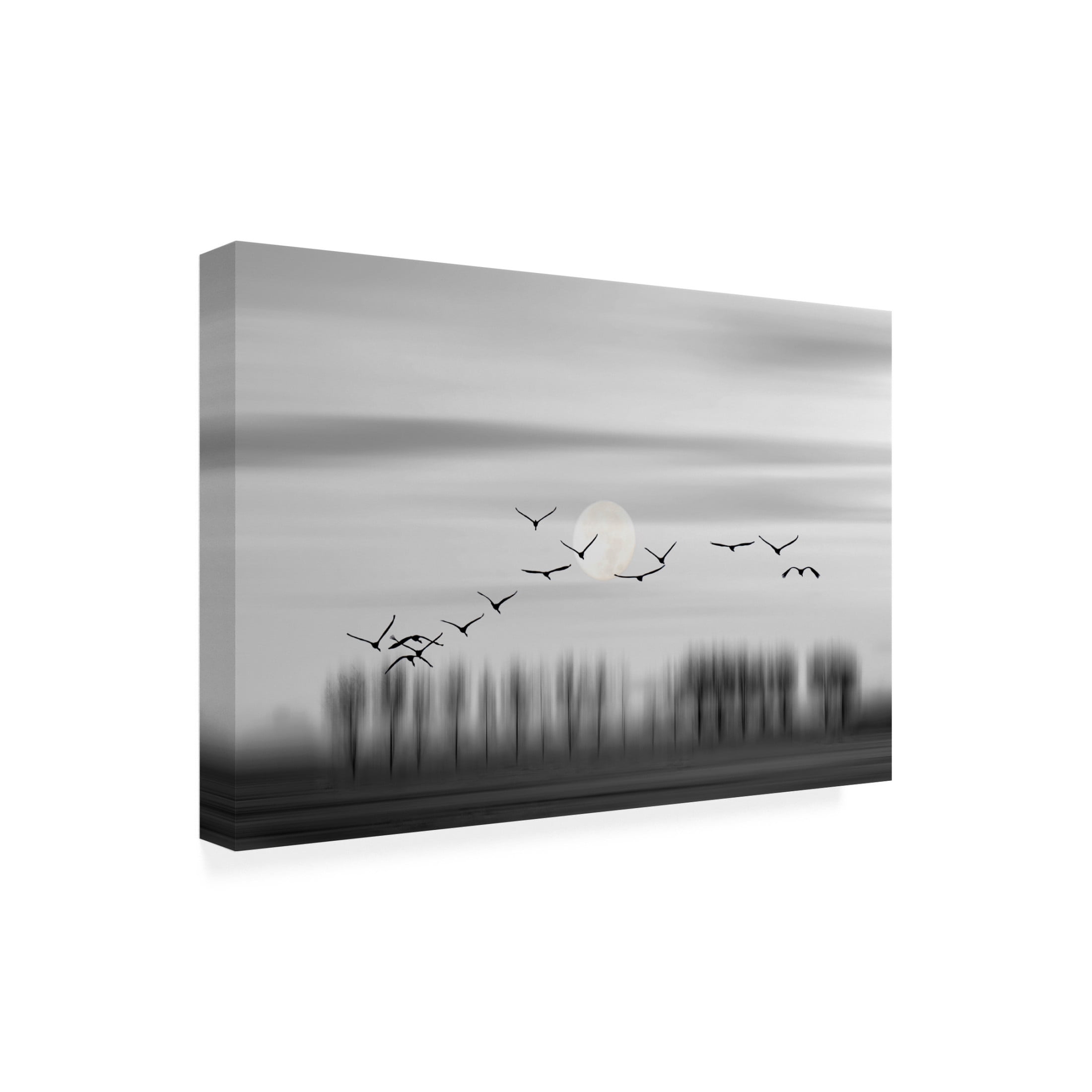 Trademark Fine Art Wilma Wijers Smeets Flying free! Canvas Wall Art