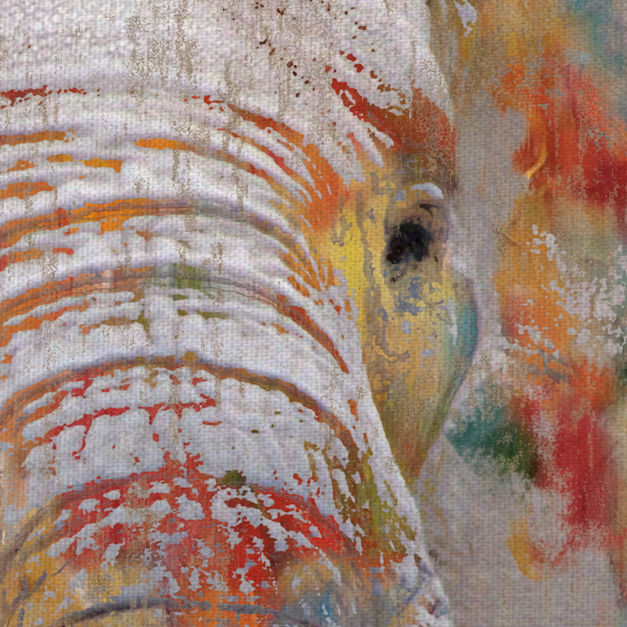 Masterpiece Art Gallery Paint Splash Elephant By Nan Canvas Art Print 35" x 35"