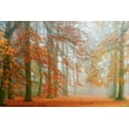 thumbnail image 2 of Van de Goor, Lars 24x17 Black Ornate Wood Framed with Double Matting Museum Art Print Titled - Autumn Mist, 2 of 4