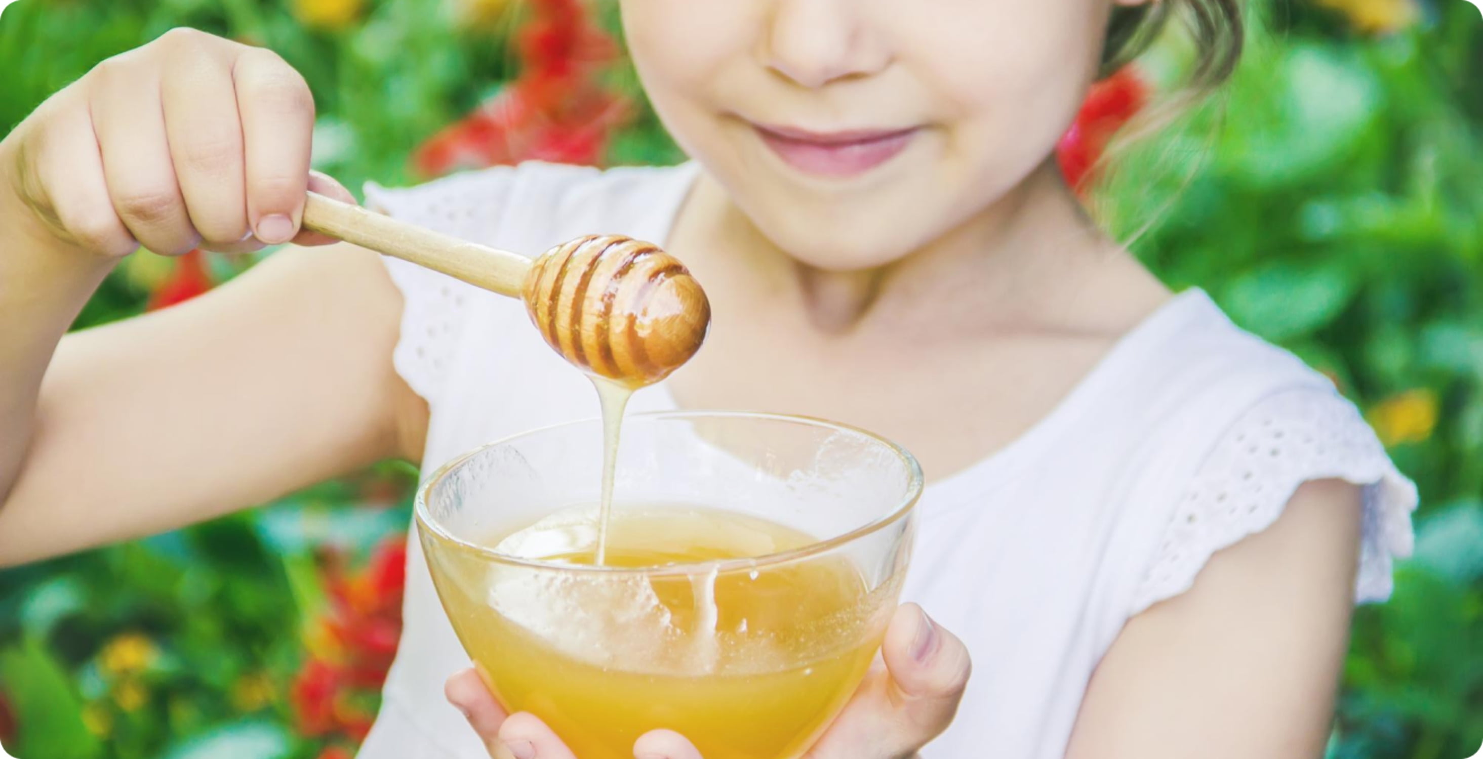 Japanese Native Honeybee Raw Honey – 100% Pure  Unheated - Kurumira Shop