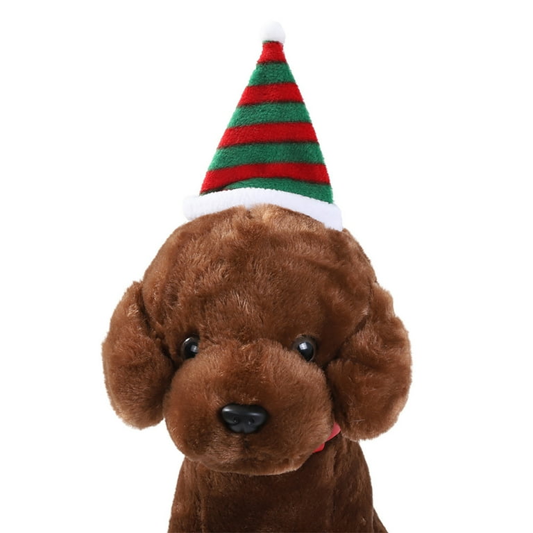 Dog top stocking cap