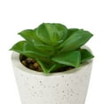 thumbnail image 5 of Anko Artificial Succulent #2 in Pot, 5 of 5
