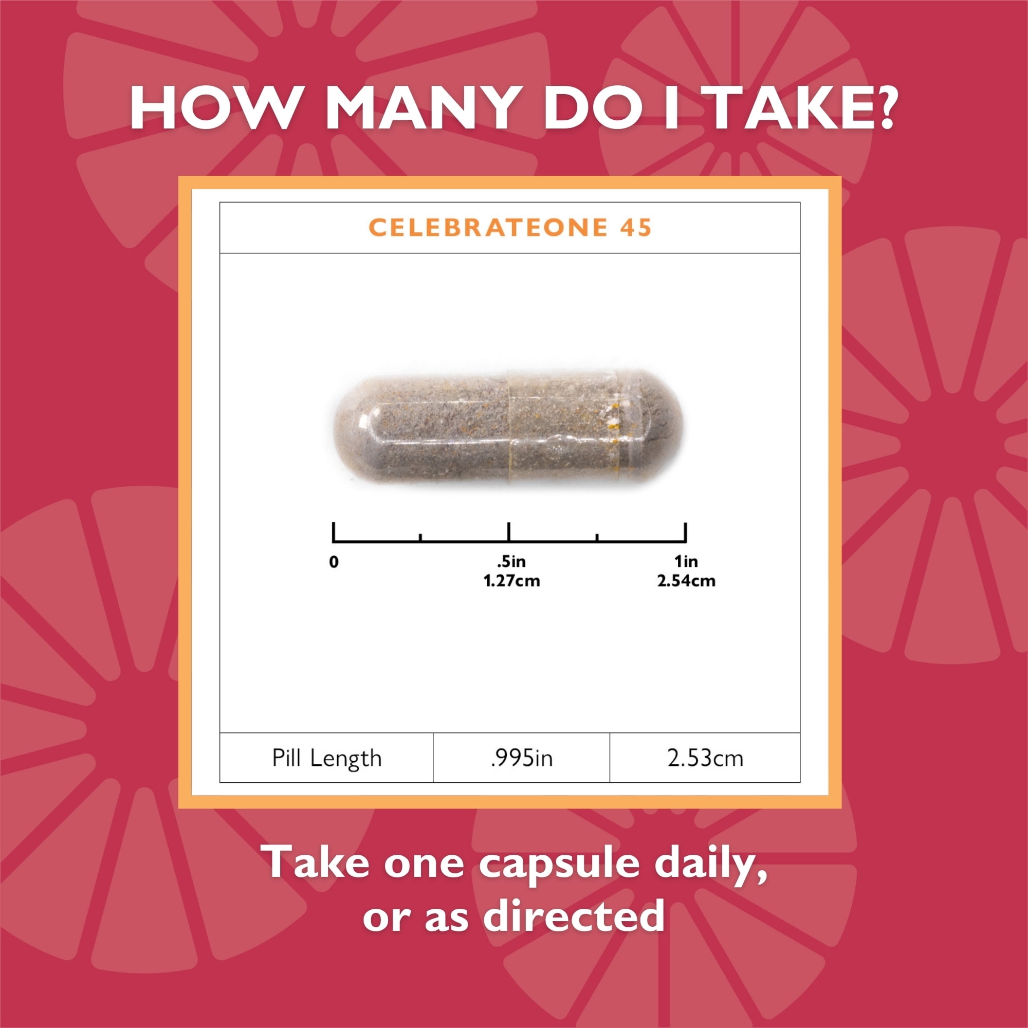 Celebrate Vitamins CelebrateONE 45 Once Daily Bariatric Multivitamin with Iron Capsules, 45 mg of Iron, 90 count