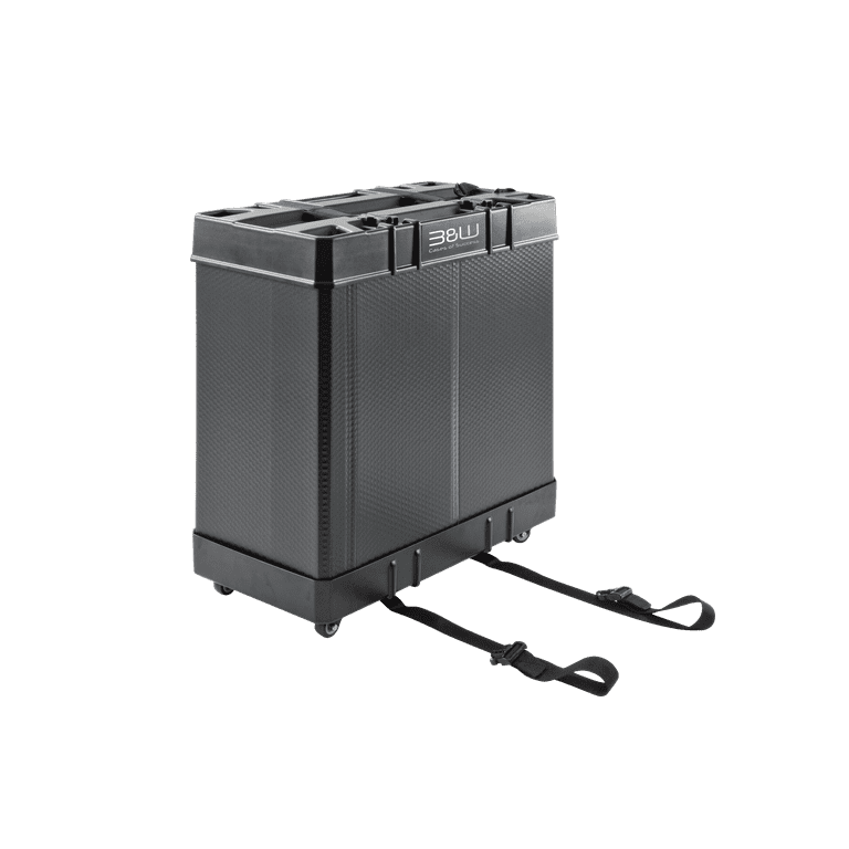 B&W International Foldon Box S Folding Bike Travel Case, Gray