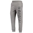 thumbnail image 2 of Men's Gray Las Vegas Raiders Denominator Brushed Knit Pants, 2 of 3