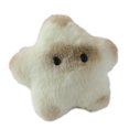 thumbnail image 4 of Llavero de peluche relleno, llavero de coche, bolsa, decoración colgante para amigos, amantes, niños, 4 of 9