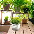 thumbnail image 5 of BinKFF Fake Plants Small, Ball Flower for Bathroom Shelf Decor, Decorative Plants for Home Living Room Office Bedroom Table Tray Shelve Farmhouse Decor Indoor, 5 of 8