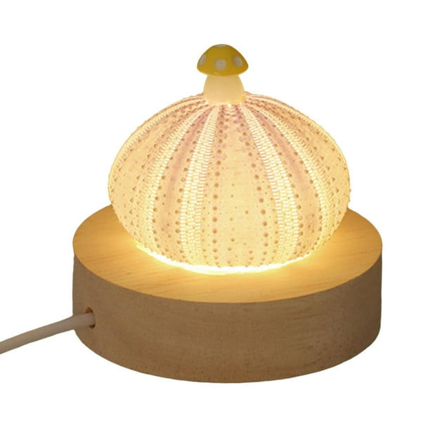 Lámparas de mesa decorativas, decoración del hogar, regalo de cumpleaños con función LED, lámpara de mesa USB de 1 capa