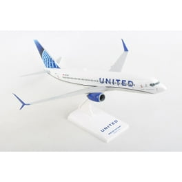 Boeing 787-8 Dreamliner Commercial Aircraft 