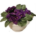 thumbnail image 2 of Set of 3 Faux Purple African Violet Silk Flower Bushes - For Year Round Home Decor, Floral Arrangements, Corsages and Boutonnieres, 2 of 5