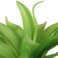 thumbnail image 6 of Northlight Artificial Mini Foxtail Agave Plant in a White Pot - 8", 6 of 7