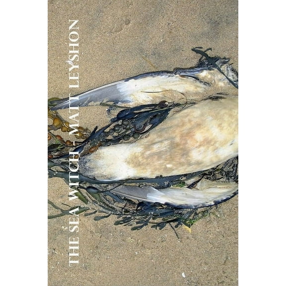The Sea Witch (Paperback)