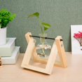 thumbnail image 1 of Terrario de Florero Perfecl con soporte de madera y vidrio Florero de bulbo de terrario, 1 of 7