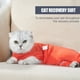 thumbnail image 3 of Traje de recuperación para mascotas, chaqueta para heridas abdominales de cuatro patas para gatos, 3 of 8