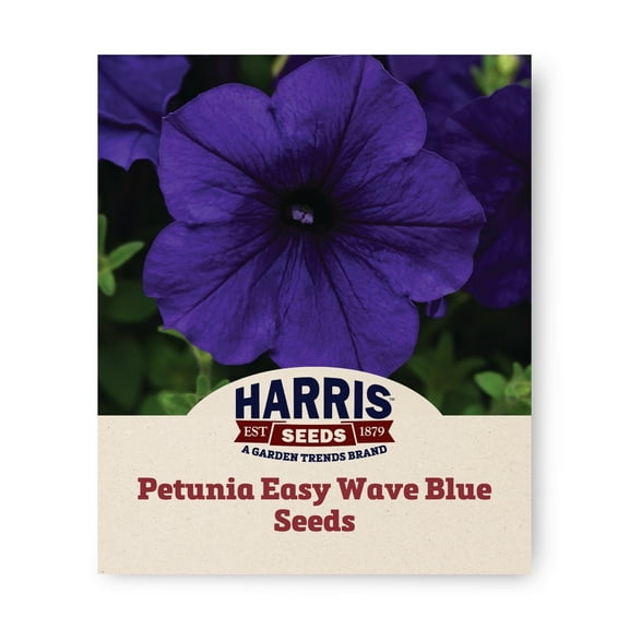 Harris Seeds - Petunia Easy Wave Blue F1 Seeds - Vibrant Mounded Blooms - 100 Seeds