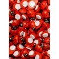 thumbnail image 5 of Wood Flatback Scrapbook Ornament Ladybug Button (Mix size - 160pcs), 5 of 7