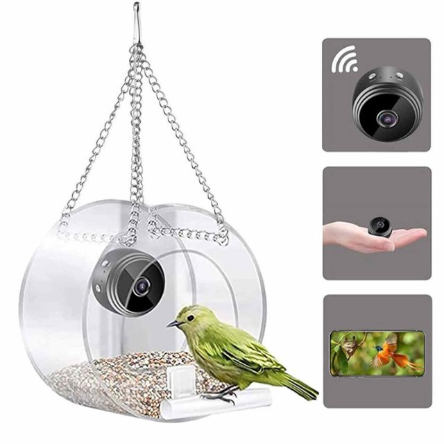 Comedero inteligente para pájaros con cámara inteligente, comederos colgantes para jardín al aire libre