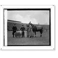 thumbnail image 2 of Historic Framed Print, Mascots at Army-Navy game, 11/29/24, 17-7/8" x 21-7/8", 2 of 9
