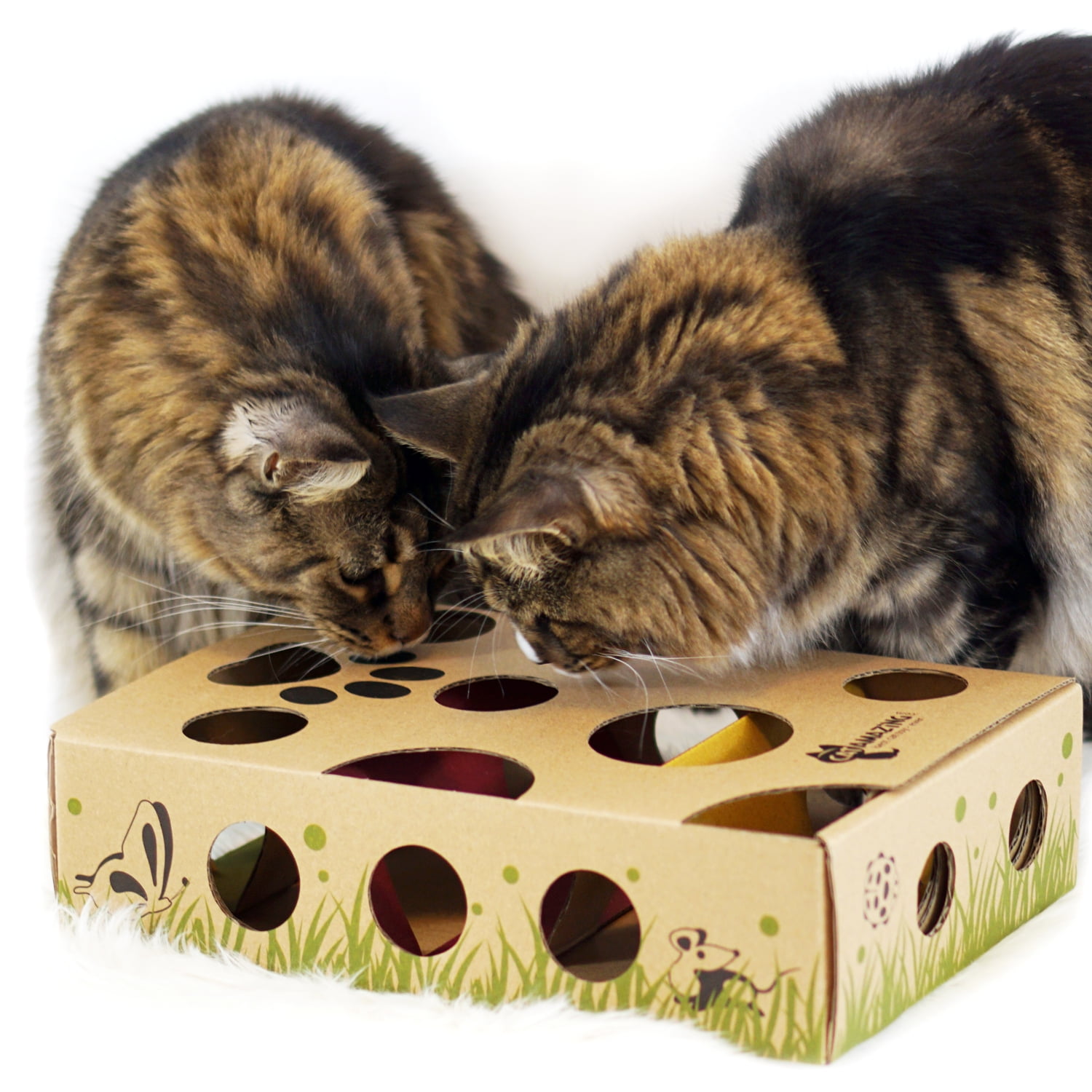 Cat Amazing Classic – Cat Puzzle Feeder – Interactive Enrichment Toy – Cat  Treat Puzzle Box – Food Maze for Indoor Cats… – CoolKittyCondos