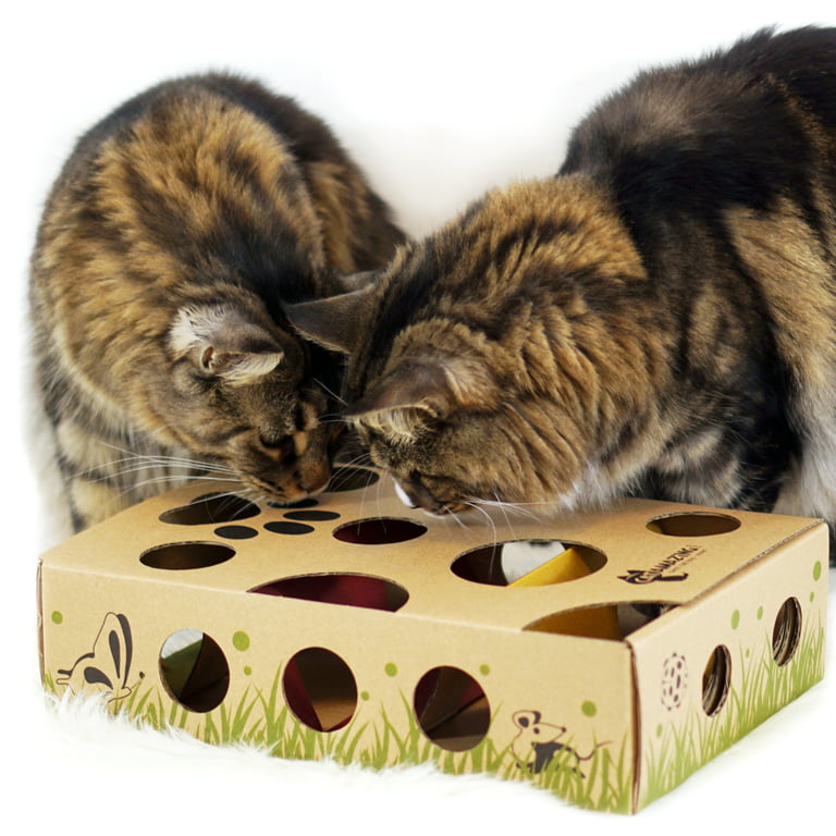 Cat Amazing - Best Cat Toy Ever! Interactive Treat Maze & Puzzle Feeder for Cats