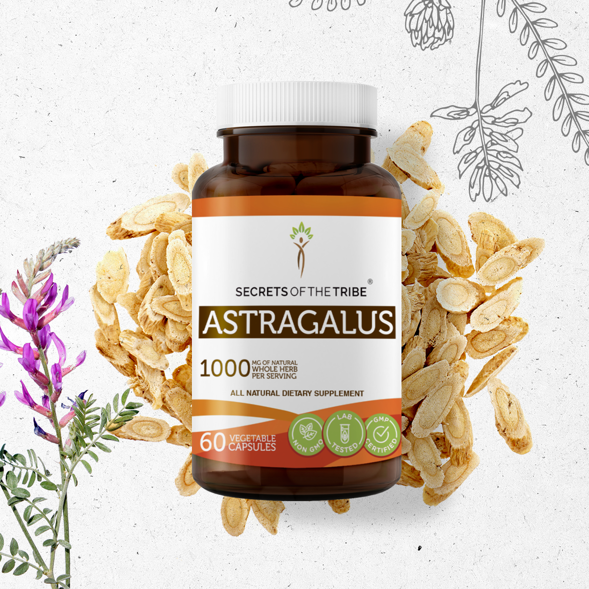 Secrets of the Tribe Astragalus 60 Capsules, 500 mg, Organic Astragalus