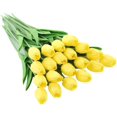 thumbnail image 2 of RV 20 piezas de tulipanes artificiales de látex de tacto Real, flores de tulipanes falsos, ramos de boda para decoración del jardín del hogar, color amarillo Rojo Verde, 2 of 5