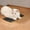 Black, variant on Cat Self Groomer and Massager Wall Brush - Soft Silicone Cat Scratching Pad & Grooming Mat for Indoor Cats, Interactive Kitty Massage Tool & Hair Shedding Deshedder, 9.7" x 7.1"