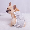 thumbnail image 4 of Mosey Soft Pet Short Pants Printing Design   for Indoor   Health Care, 4 of 7