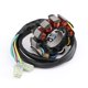 thumbnail image 1 of Generador de estator para Honda CRF450 CRF 450X 2005-2009/2012-2017 31120-MEY-672, 1 of 12