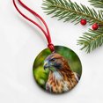 thumbnail image 6 of Red-Tailed Hawk Raptor Bird Of Prey Christmas Tree Holiday Round Ceramic Ornament, 6 of 7