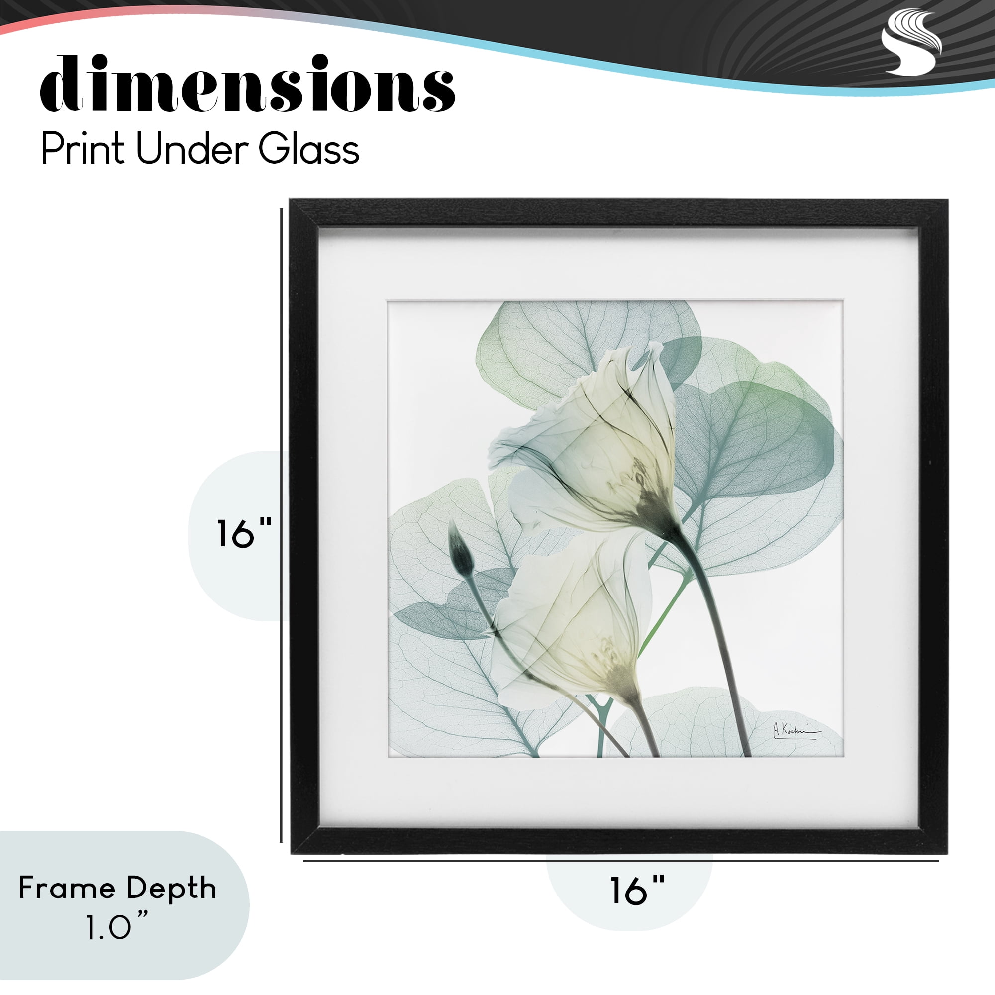 Stupell Industries Divine Fate Petals Black Framed Print Under Glass, design by Albert Koetsier