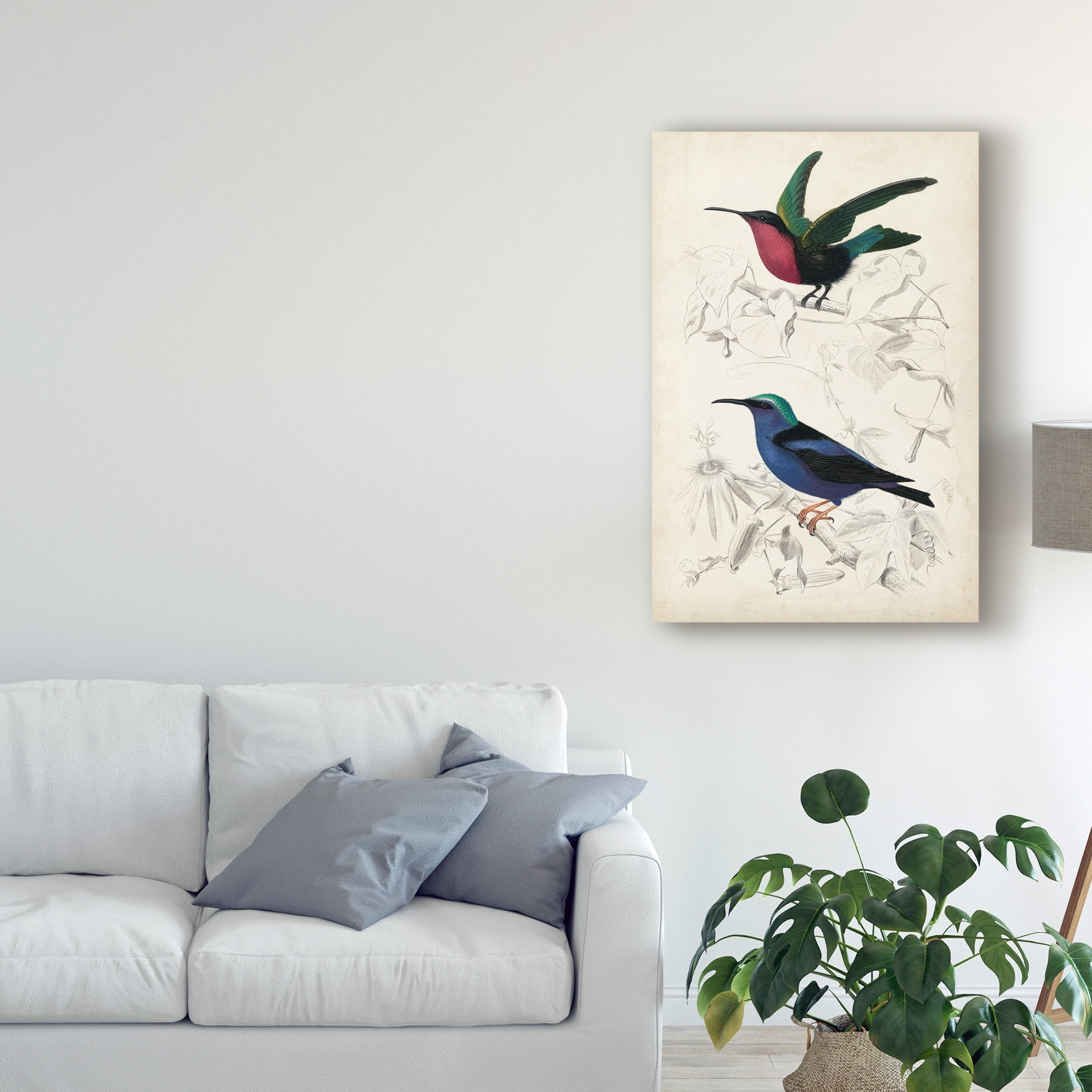 Trademark Fine Art 'D'Orbigny Birds I' Canvas Art by M. Charles D'Orbigny