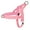Pink, variant on Didog No Pull Dog Pet Harness No Choke Strong Adjustable Mesh Padded Walking Strap Vest with Handle