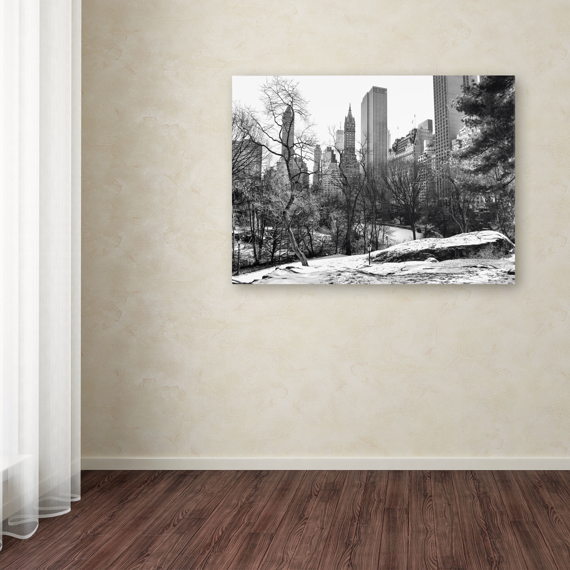 Trademark Fine Art "Central Park" Canvas Art by CATeyes