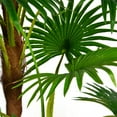 thumbnail image 2 of 54" Tall Fan Palm Tree Artificial Indoor/ Outdoor Décor Faux Burlap Kit and Fiberstone Planter By Minx NY, 2 of 4