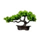 thumbnail image 2 of Bonsái artificial, planta en maceta, con maceta, decoración de plantas pequeñas. Pino de la longevidad, 2 of 9
