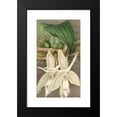thumbnail image 2 of Charles Antoine Lemaire 12x18 Black Modern Framed Museum Art Print Titled - Stanhopea Ivory Var. Attractiveness (1854-1896), 2 of 5