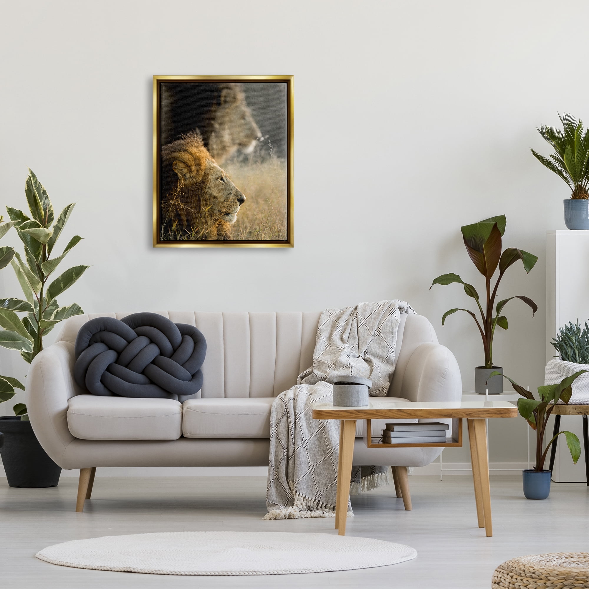 Stupell Industries Lions Lounging Savanna Photography Animals & Insects Photography Gold Floater Framed Art Print Wall Art