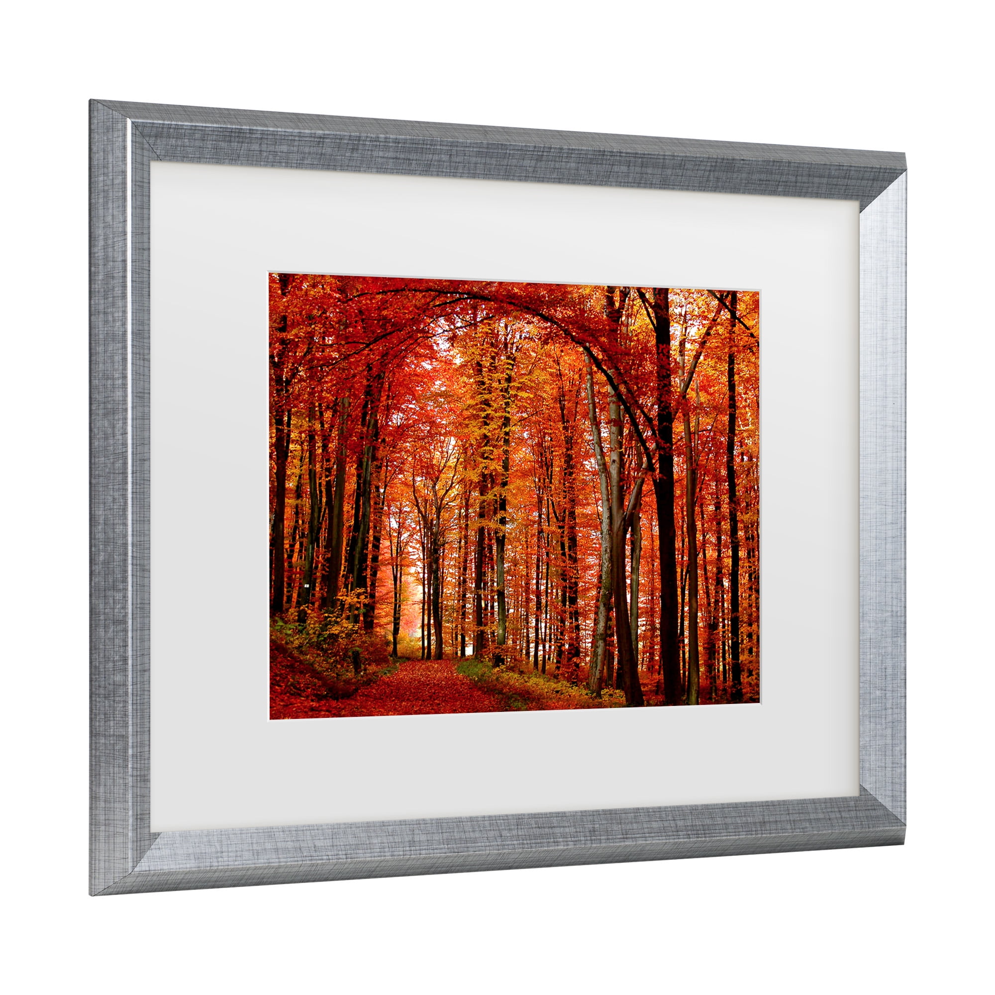 Trademark Fine Art 'The Red Way' Matted Framed Art by Philippe Sainte-Laudy