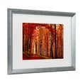 thumbnail image 2 of Trademark Fine Art 'The Red Way' Matted Framed Art by Philippe Sainte-Laudy, 2 of 4