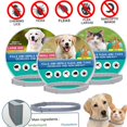 thumbnail image 2 of Typpkmm New 38/ Pet Anti Flea Ticks Antiparasitic Cats Collar 70CM, 2 of 7