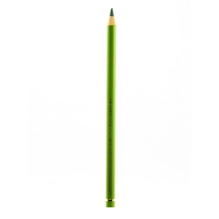 Polychromos Artist Colored Pencils (Each) earth green yellowish, 168 (pack of 12)