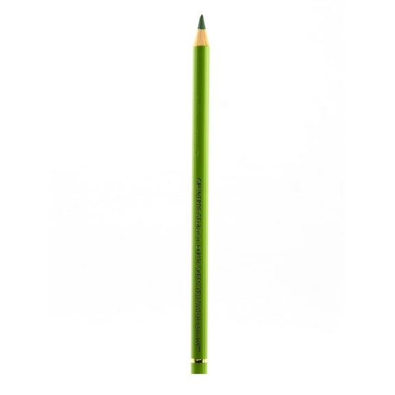 Polychromos Artist Colored Pencils (Each) earth green yellowish, 168 (pack of 12)
