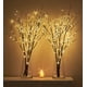 thumbnail image 1 of Rama Iluminada Hairui 81 cm 150 LED Luces de Hadas 2 Juegos, 1 of 8