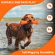 thumbnail image 2 of Juguete para Perros BIONIC Urban Stick Rojo para Raza Mediana, 2 of 7