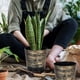 thumbnail image 5 of Guantes de Silicona Resistentes Al Calor para Horno | Funda Protectora para Manos | para Sujetar Utensilios de Cocina Calientes | Uso En La Cocina | Ollas, Sartenes, Parrilla, Horno, Utensilios de Co, 5 of 6